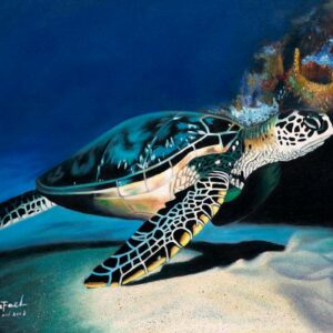 Deep Turtle-001RP_Image