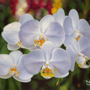 White Orchid-007RP_Image