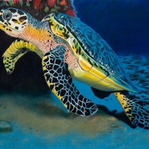 Tortuga-011RP_Image