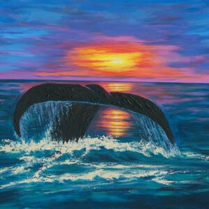 Whale tail Sunrise